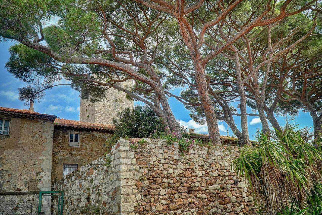 Immogroom - 5 Min From Beaches - Suquet - Ac Cannes Eksteriør billede